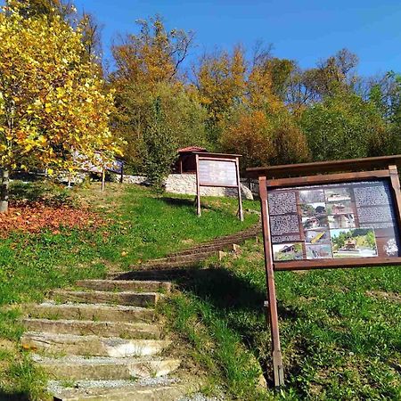 Vila Trnoruzica Tuhelj Exteriér fotografie
