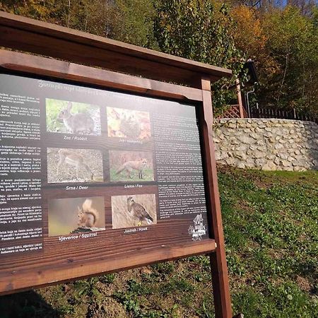 Vila Trnoruzica Tuhelj Exteriér fotografie