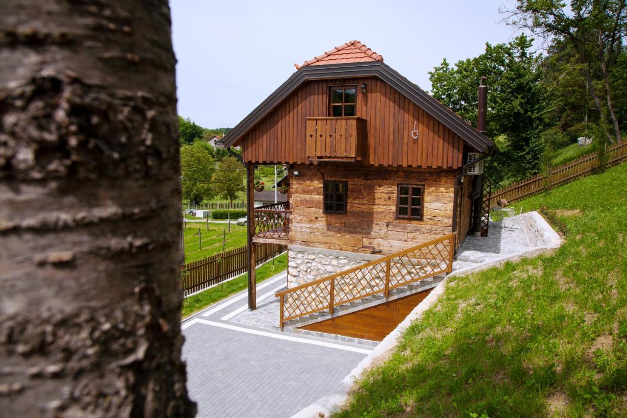 Vila Trnoruzica Tuhelj Exteriér fotografie